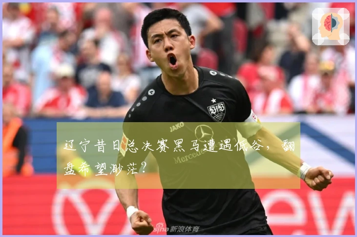 辽宁昔日总决赛黑马遭遇低谷，翻盘希望渺茫？