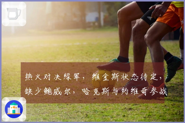 热火对决绿军，维金斯状态待定，缺少鲍威尔，哈克斯与约维奇参战