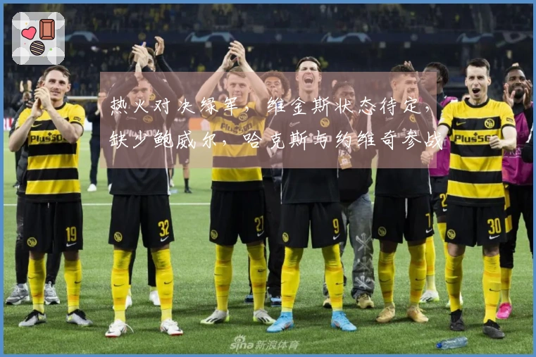 热火对决绿军，维金斯状态待定，缺少鲍威尔，哈克斯与约维奇参战