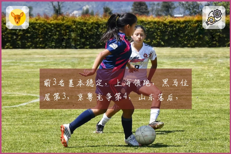 前3名基本稳定，上海领跑，黑马位居第3，京粤竞争第4，山东落后，辽宁跌至第9