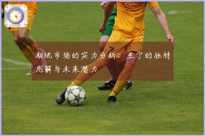 潮玩市场的实力分析：王宁的独特见解与未来潜力